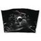 Set de 5 sacs poussière PERM M